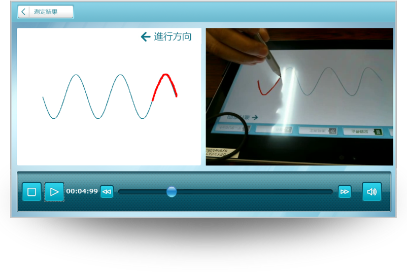 Database display screen