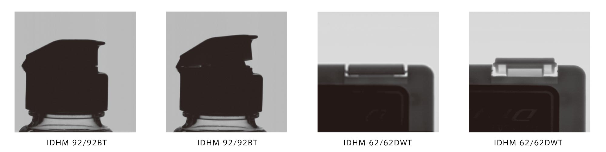 IDHM Product Description 01