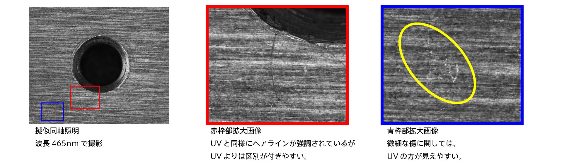 撮像例2_青