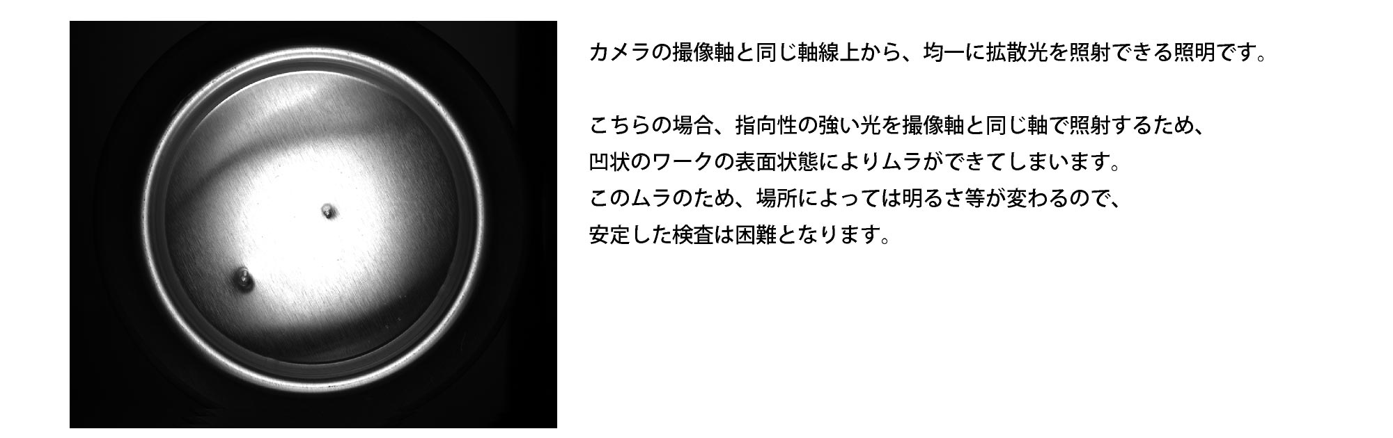 撮像例_同軸落射