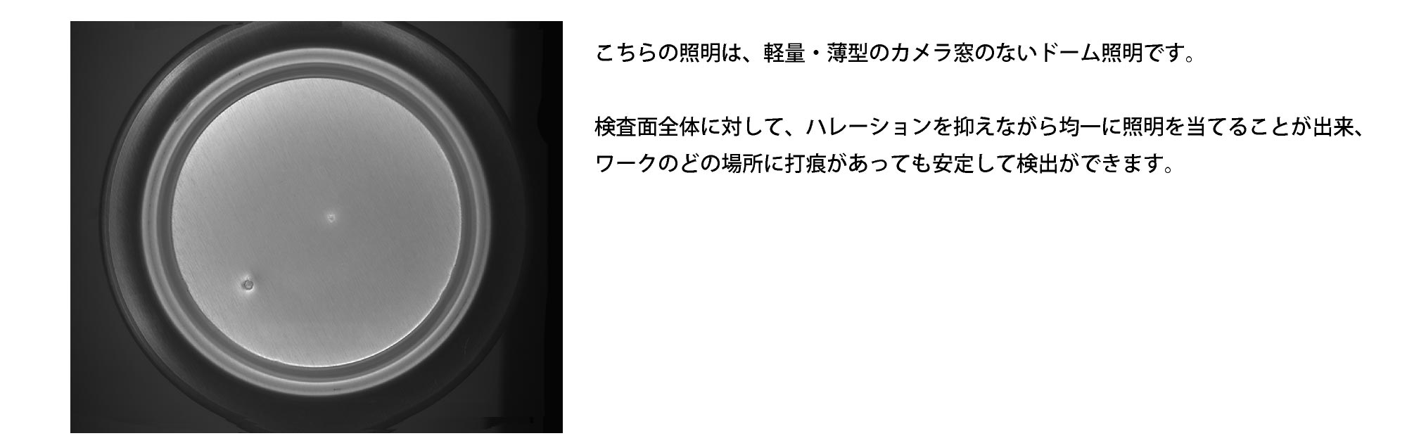 撮像例_スクエドーム