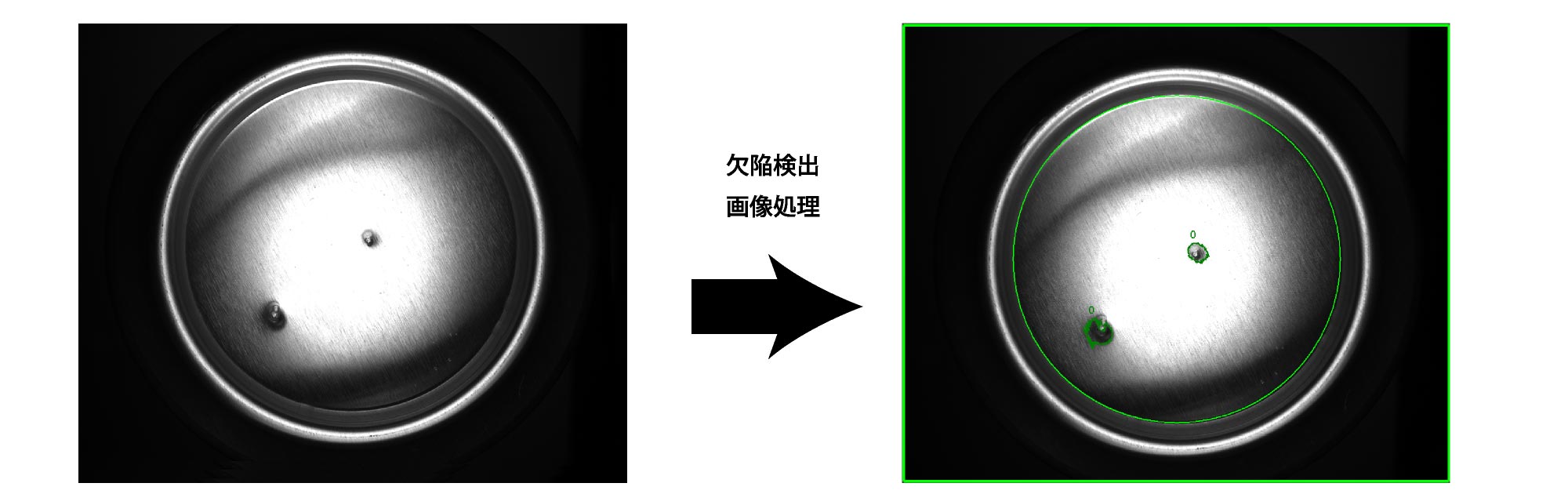 撮像例_同軸落射
