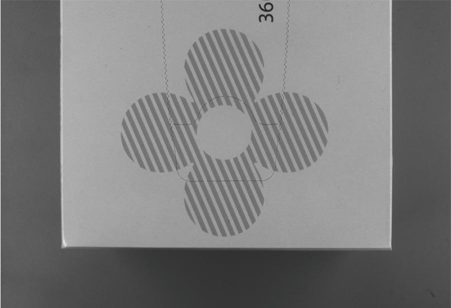 撮像例1_可視光