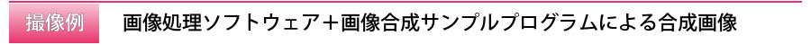 title_合成画像群